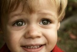Процедура взыскания алиментов на ребенка: как и куда подавать заявление
